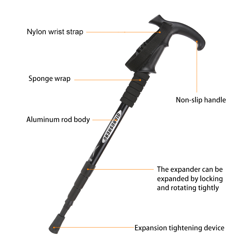 Canne de randonnée pliante en  - Trekking Pole Carbon avis et prix