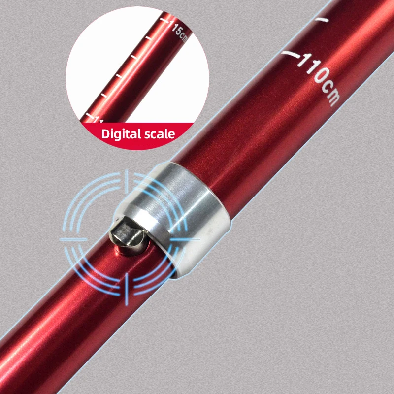 Bâton de Trekking pliable en p - Trekking Pole Carbon avis et prix