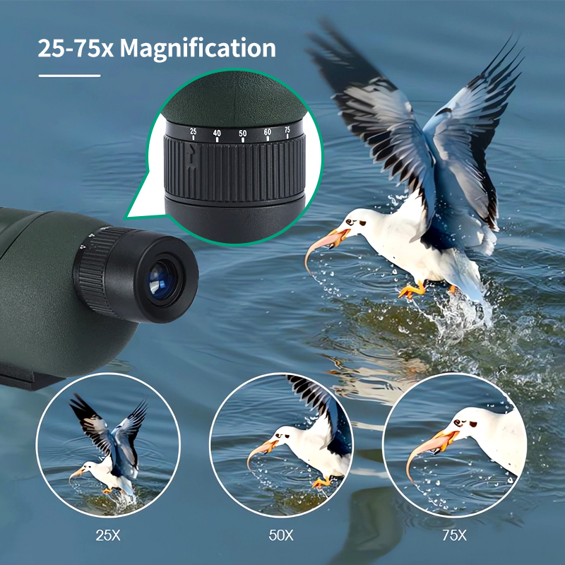 Lunette d'observation monocula - Outdoor Adventure Watches avis et prix