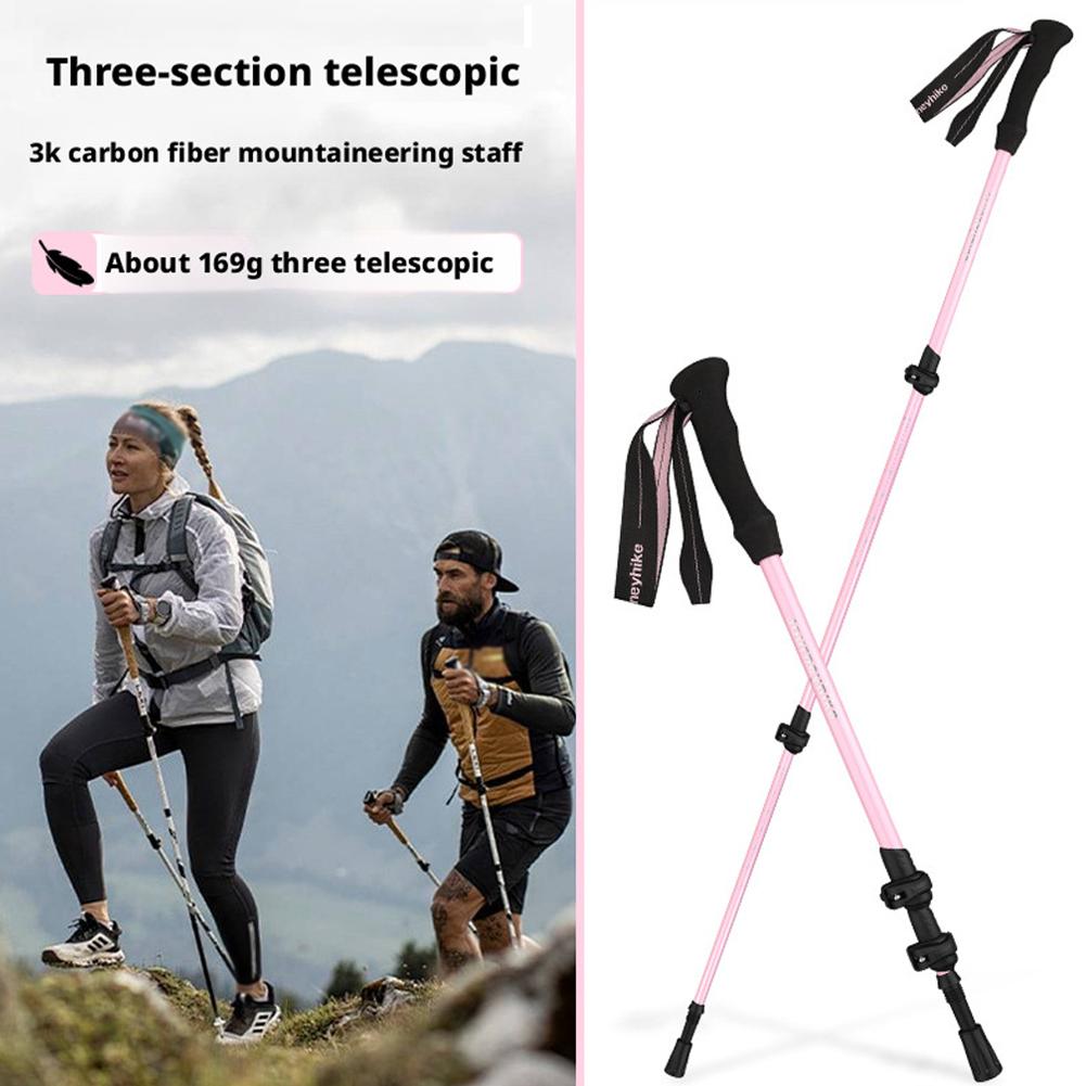 Bâtons de Trekking ultralégers - Trekking Pole Carbon avis et prix